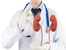 Nephrologist Care Nephrologist Care